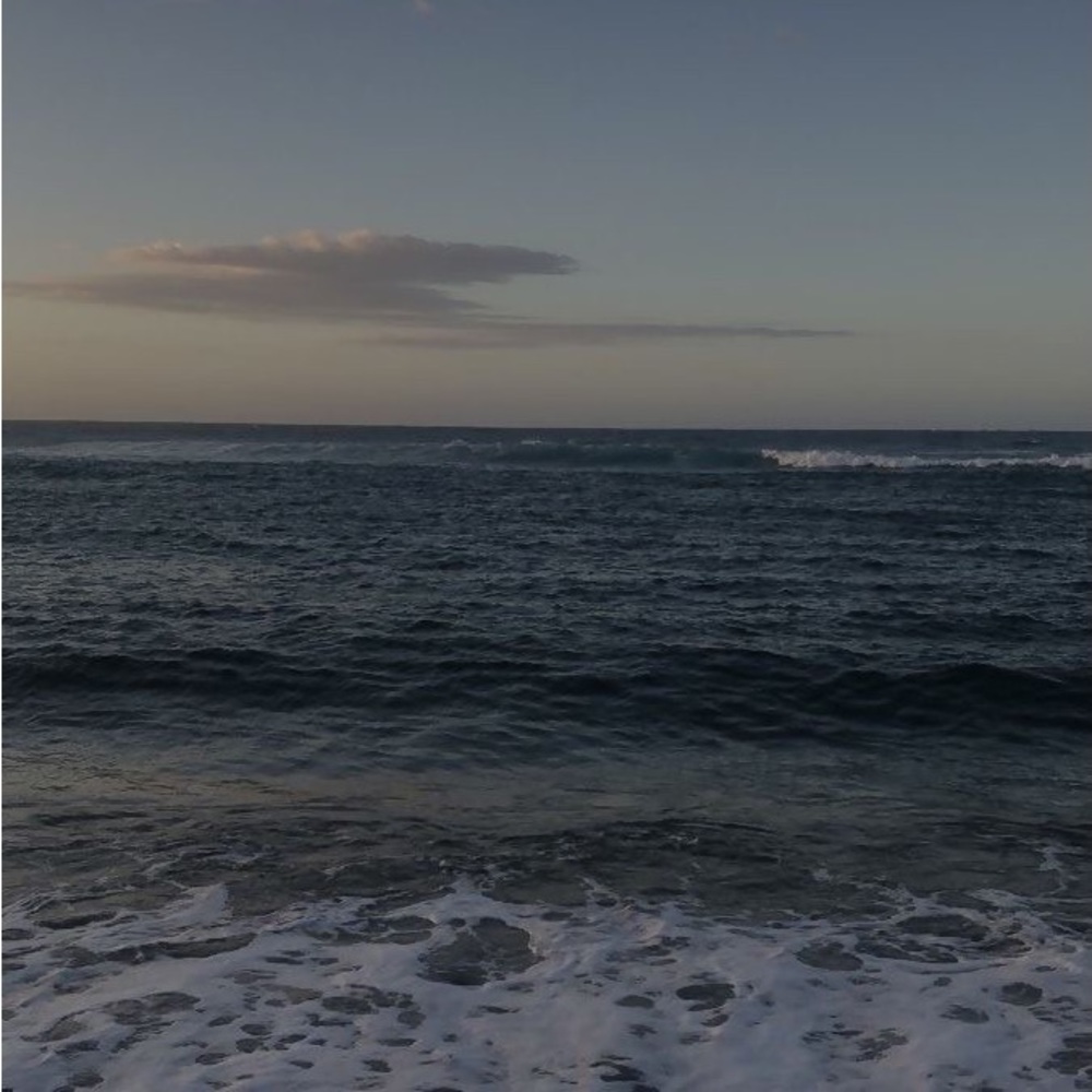 Meet your Posher, Norah